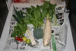 新鮮野菜.jpg